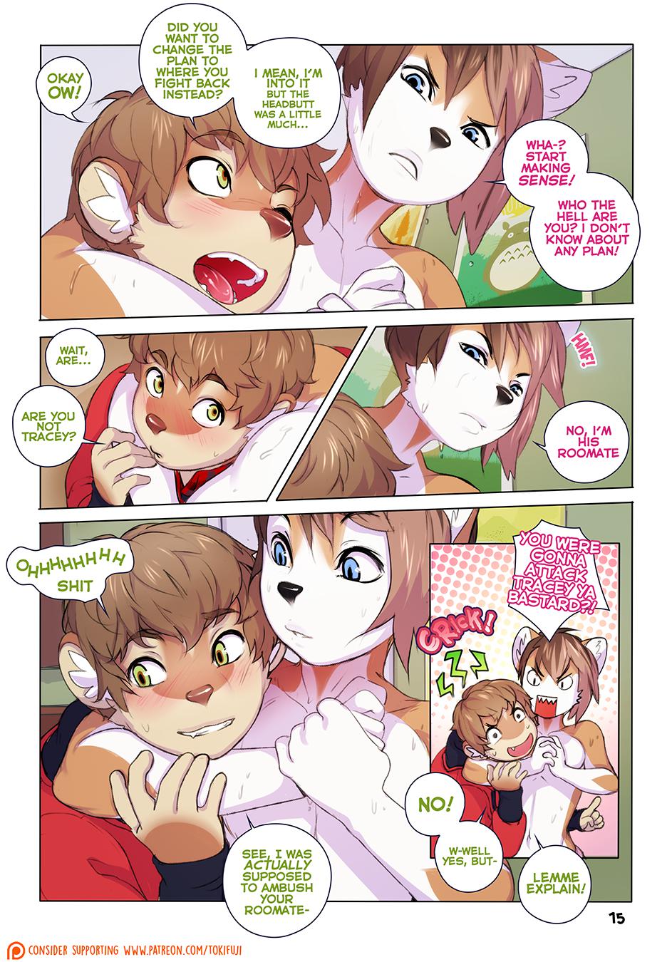 Page 15